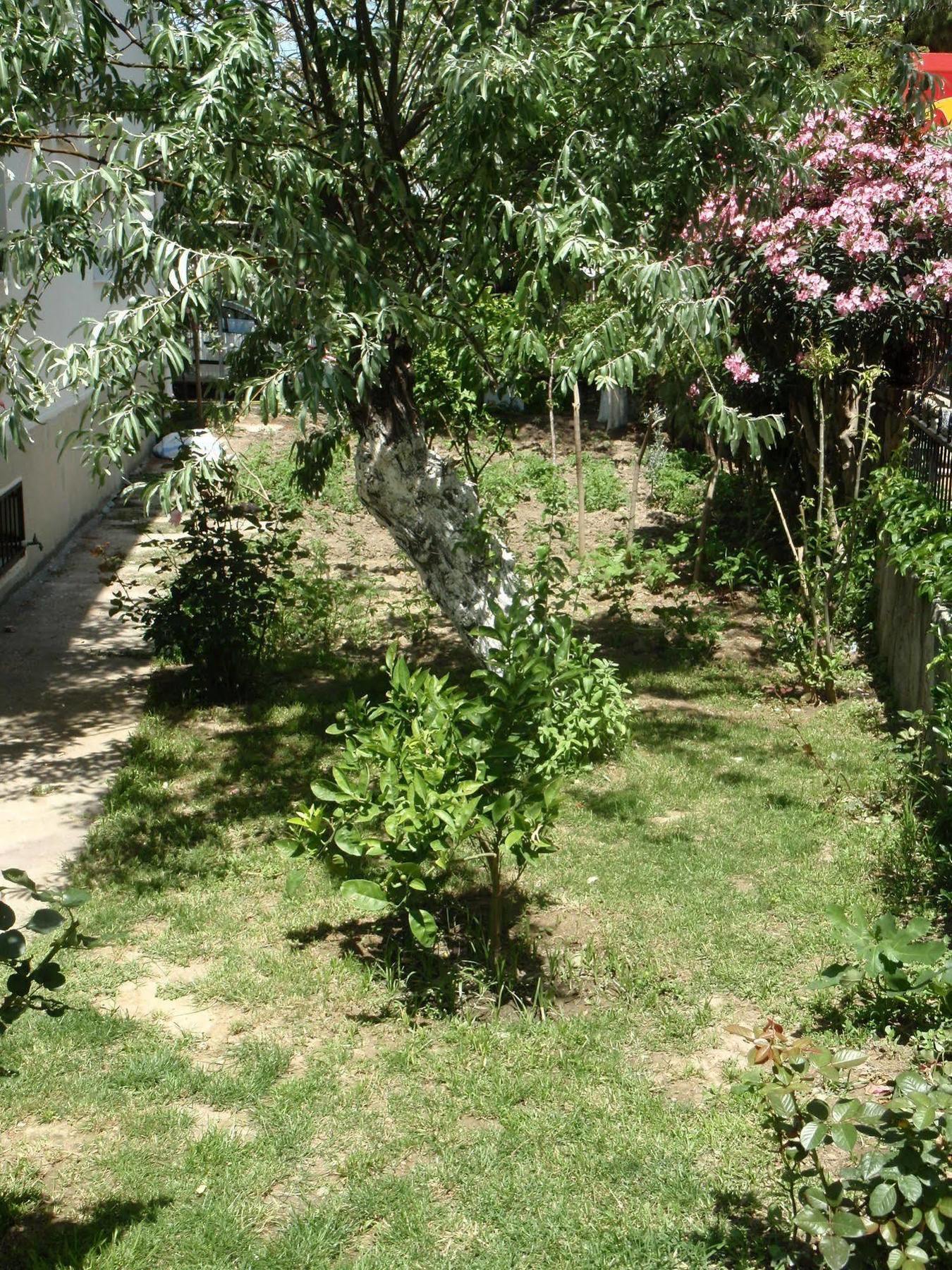 Liman Hotell Kusadası Exteriör bild